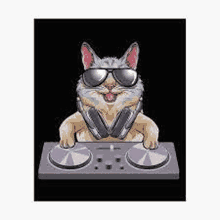 a cat wearing sunglasses and headphones is playing a dj set .