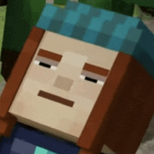 a close up of a minecraft character 's face with a sad look on his face .