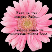 a pink flower with the words " kero te ver sempre feliz " written on it