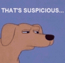 a picture of a dog with the words that 's suspicious