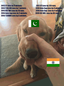 a person holding a puppy 's nose with a flag of pakistan on it