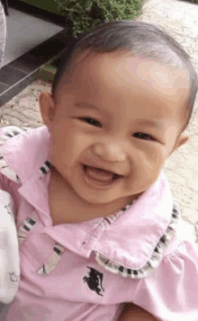 a baby girl wearing a pink polo shirt is smiling .