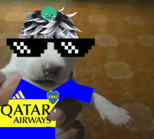 a dog wearing sunglasses and a qatar airways jersey