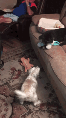 a man sits in a chair with a plate of food while two dogs play with toys on the floor