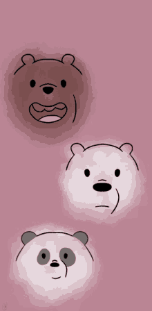 three bears are lined up on a pink background including ice bear