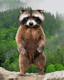 a raccoon stands on its hind legs in front of a forest