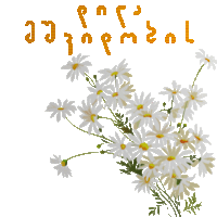 a bunch of daisies are surrounded by a foreign language written in orange