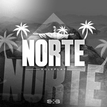 a black and white poster that says norte roleplay on it