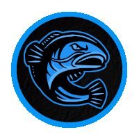 a blue and black fish is in a blue circle on a black background