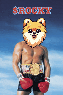 a man with boxing gloves and a dog 's head with the word rocky on the top