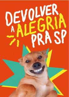 a poster with a dog and the words devolver alegria pra sp