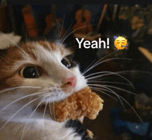 a cat is holding a piece of fried chicken in its mouth with the words yeah behind it