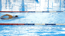 a person is swimming in a pool with a lane that says ' swimming ' on it