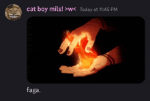 a screenshot of a chat between cat boy mils and faga