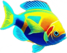 a colorful fish with blue and yellow stripes is swimming in the water