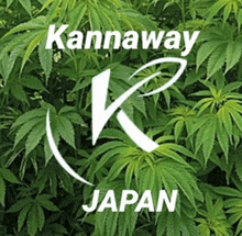 a logo for kannaway japan surrounded by green plants