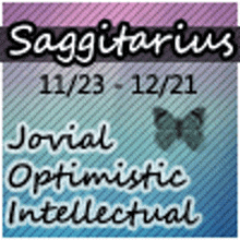 a sagittarius sign with a butterfly on it