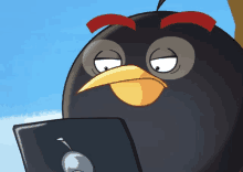 an angry bird is looking at a laptop computer screen