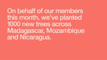 on behalf of our members this month we 've planted 1000 new trees across madagascar mozambique and nicaragua