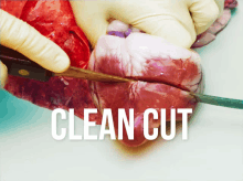 a picture of a person cutting a heart with the words clean cut above it