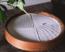 a wooden tray filled with sand and a plant