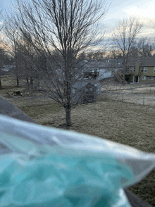 a plastic bag is sitting in front of a house with a tree in the background