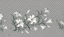 a bunch of white flowers with leaves on a transparent background