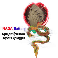 a logo for inada battery with a snake