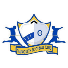 a blue and yellow logo for a football club with a shield and two soccer players .