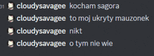 a screenshot of a chat with cloudysavagee