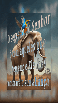 a picture of an elephant with the words o segredo do senhor