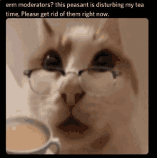 a cat wearing glasses is drinking a cup of tea .