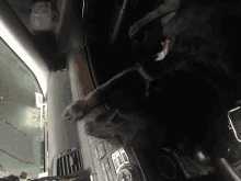 a black dog is laying in the driver 's seat of a vehicle