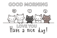 a group of cats standing next to each other with the words good morning love you have a nice day below them