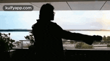 a silhouette of a person standing on a balcony with a gun .