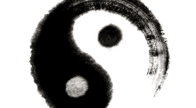 a black and white yin yang symbol with a brush stroke