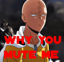 a picture of a bald man with the words why you mute me