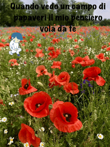 a field of red flowers with the words " quando vedo un campo di papaveri il mio pensiero vola da te " on top