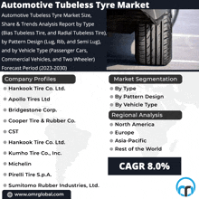 automotive tubeless tyre market size share & trends analysis report by type ( bias tubeless tire and radial tubeless tire )