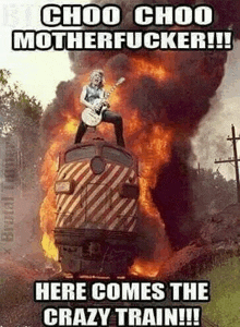 a woman is standing on top of a train with a guitar .