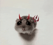 a small hamster with devil horns and a trident on its head .