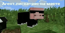 a pig wearing sunglasses is standing in a field in minecraft