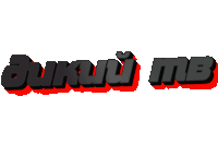 a black and red logo for a company called jurui mb