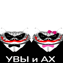 a couple of cats wearing joker masks with the words " yvbi i ax " written on the bottom