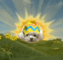 a small white dog wearing a colorful hat is flying through the air in front of the sun .