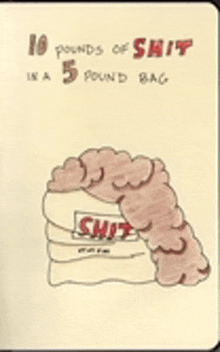 a drawing of a pile of shit with the words " 10 pounds of shit in a 5 pound bag " on it