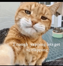 a cat taking a selfie with the caption enough yapping lets get to clapping .