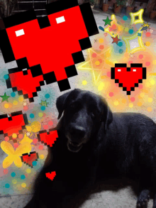 a black dog is laying on the ground in front of a pixel art of hearts