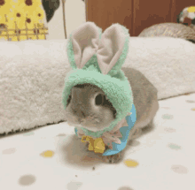 a small rabbit wearing a green bunny hat and a blue scarf