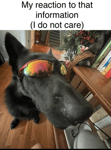 a black dog wearing sunglasses with the caption my reaction to that information i do not care